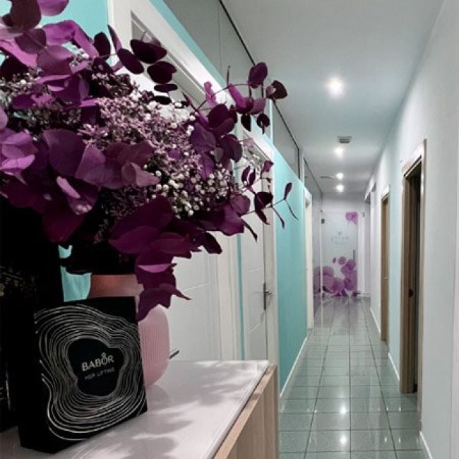 Bienvenida Centro Belleza Maite